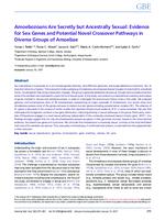 Amoebozoans Are Secretly but Ancestrally Sexual: Evidence for Sex Genes and Potential Novel Crossover Pathways in Diverse Groups of Amoebae