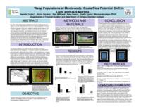 Wasp populations at Monteverde, Costa Rica potential shift in light and dark morphs
