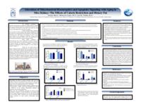 Alteration of mitochondrial bioenergetics and apoptotic signaling with aging in mice kidney: The effects of calorie restriction and dietary fat