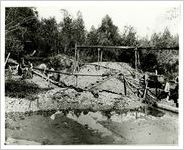 Photograph of Briar Patch mine, Dahlonega, Georgia