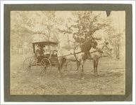 Photograph of Price family in carriage, Dahlonega, Georgia, c. 1900