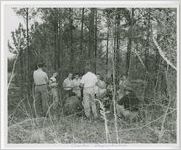 Photograph of Evans High School students standing in the woods during a land judging contest, McDuffie County, Georgia, 1956 April 5