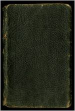 Diary of Frank F. Hamburger, 1919