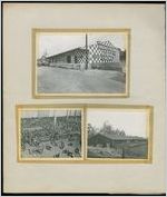 Photographs of scenes from poultry farm and feed store, Clarkesville, Habersham County, Georgia, 1950