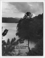 Photograph of the shoreline of Lake Rabun, Clarkesville, Habersham County, Georgia, 1953