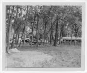 Photograph of picnic grounds, Clarkesville, Habersham County, Georgia, 1953