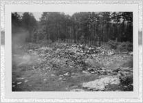 Photograph of garbage dump, Clarkesville, Habersham County, Georgia, 1953