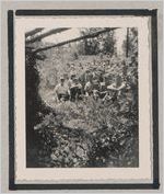 Photograph of a group of elementary school students seated in the middle of a meadow, Clarkesville, Habersham County, Georgia, 1950