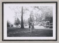 Photograph of three boys standing on a ladder, Clarkesville, Habersham County, Georgia, 1950