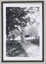 Photograph of woman holding a rope next to children playing on a tree swing, Clarkesville, Habersham County, Georgia, 1950