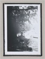 Photograph of child sitting on a tree swing, Clarkesville, Habersham County, Georgia, 1950