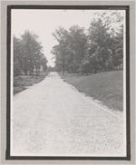 Photograph of road, Clarkesville, Habersham County, Georgia, 1950