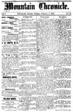 Mountain chronicle (Dawsonville, Ga.), 1880 February 3