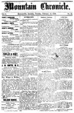 Mountain chronicle (Dawsonville, Ga.), 1880 February 24