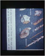 Stone age weapons