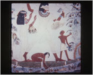 Tomb Hieroglyphics