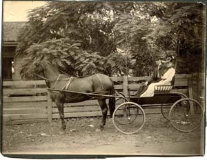 Horse and Carriage