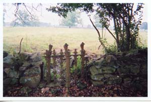 Old iron fence