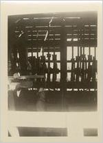 Feeding the mill, Lockhart, 1938