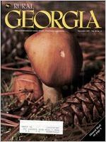 Rural Georgia, 1982 November
