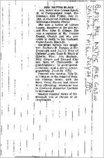 Newspaper clipping about Nettie Mae Gibson Black published July 26, 1995
