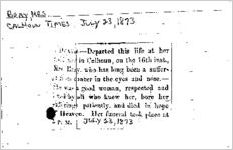 Newspaper clipping about Bray published July 23, 1873