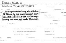 Newspaper clipping about Abner B. Echols published September 10, 1873