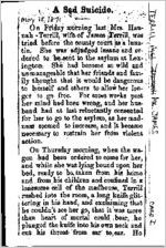Newspaper clipping about James Terrill published May 18, 1871