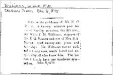 Newspaper clipping about Willie F. M. Williams published December 8, 1875