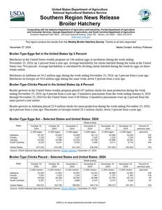 Broiler hatchery news release, 2024 November 27