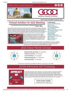 Senior issues newsletter, 2020 November