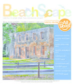 BeachScape: Jekyll Island and the Georgia coast, 2011 June