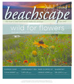 Jekyll Island BeachScape: Your Guide to the Jekyll Island and the golden isles of Georgia, 2014 June