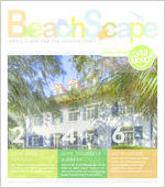 BeachScape: Jekyll Island and the Georgia coast [Vol. 8, Issue 53 (Mar. 2010)]