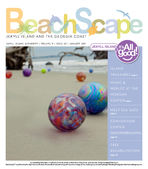 BeachScape: Jekyll Island and the Georgia coast, Vol. 9, Issue 63 (Jan. 2011)