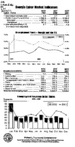 Georgia labor market indicators, 2002 November