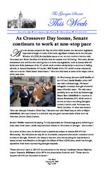The Georgia Senate this week, Feb. 28, 2008