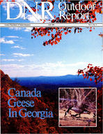 DNR outdoor report [Vol. 4, no. 4 (Fall 1989)]