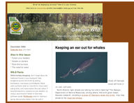 Georgia wild: news of nongame and natural habitats [Dec. 2008]