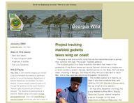 Georgia wild: news of nongame and natural habitats [Jan. 2009]