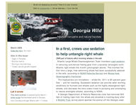 Georgia wild: news of nongame and natural habitats [Mar. 2009]