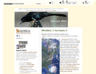 Georgia wild: news of nongame and natural habitats [Aug. 2011]