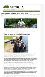Georgia wild: news of nongame and natural habitats [July 25, 2015]