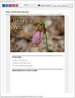 Georgia wild: news of nongame and natural habitats, 2018 November 15