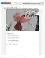 Georgia wild: news of nongame and natural habitats, 2018 December 20