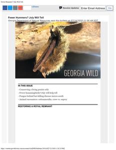 Georgia wild: news of nongame and natural habitats, 2020 July 16