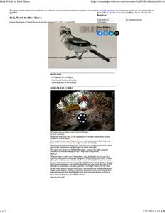Georgia wild: news of nongame and natural habitats, 2021 July 21
