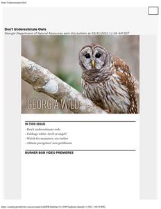 Georgia wild: news of nongame and natural habitats, 2022 March 31