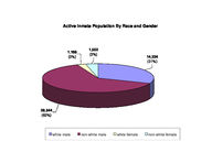 Inmate statistical profile: all active inmates, 2001-06