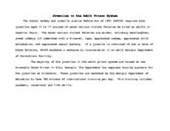 Inmate statistical profile: juveniles in adult prison system, 2000-07-01